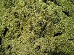 Olivine Sand,Dunite