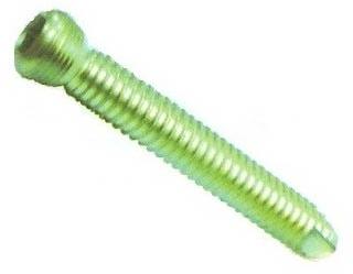 Bone Screw