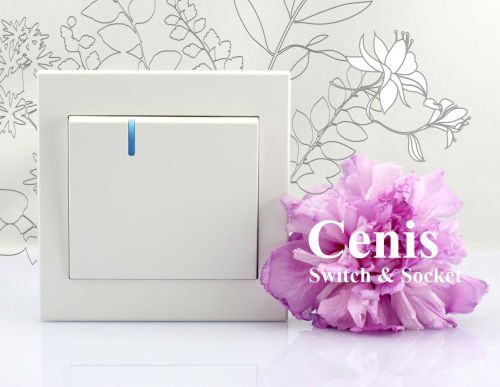 Wall Switch, Brand Name : CENIS