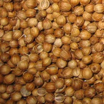 Coriander seeds, Specialities : Good Quality