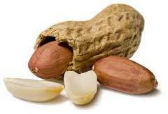 Shelled Peanuts