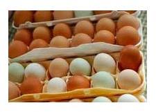 Fresh White Brown Eggs