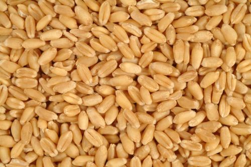 Natural Wheat