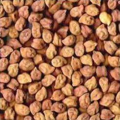 Black chickpeas, Purity : 99.9%