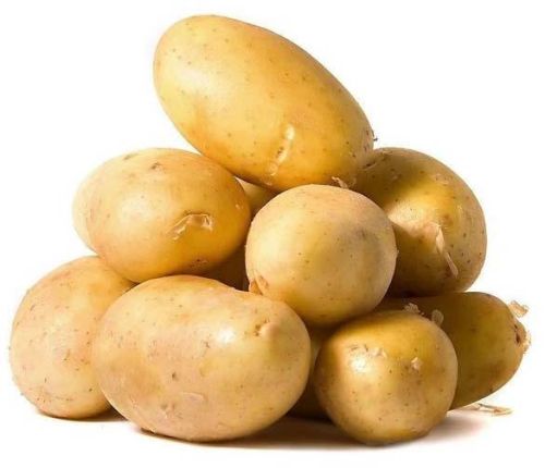 Potato, Usage/Application : Cooking, Baking, Frying, Boiling