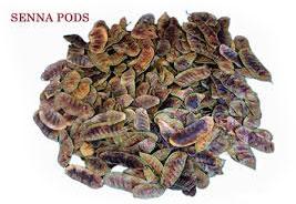 PUNAM HENNA Senna Pods