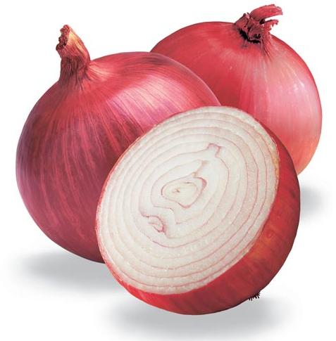 Fresh Onion