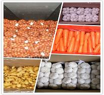 Fresh vegetables, Brand Name : SELIN