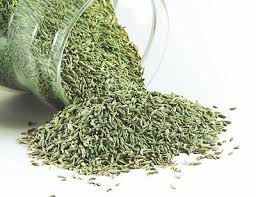 Fennel Seeds, Color : Natural Green