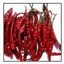 MP Teja Dried Red Chilli, For Cooking, Fast Food, Sauce, Packaging Type : Loose, Paper Box, Plastic Packet