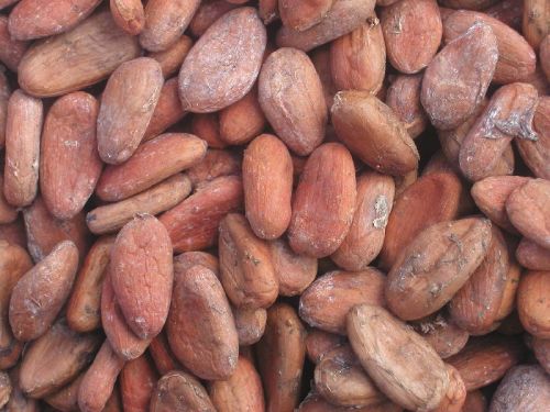 Cocoa beans, Material : Cocoa Beans