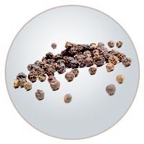 Black Pepper Seeds