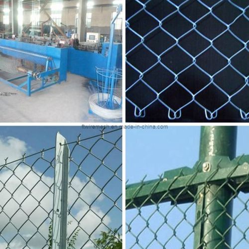 Chain Link Fence, Brand Name : fengtai