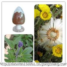 Coltfoot Flower Extract