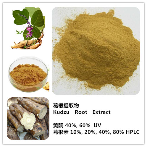 Natural Kudzu Root Extract, Brand Name : Changyue, Form : Powder