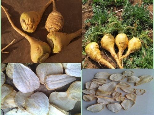 Natural Maca Extract Powder, Brand Name : Changyue