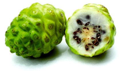 Natural Noni Fruit Extract, Brand Name : Changyue, Form : Powder