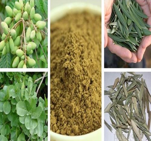 Olive Leaf Extract, Brand Name : SXCY-GLY