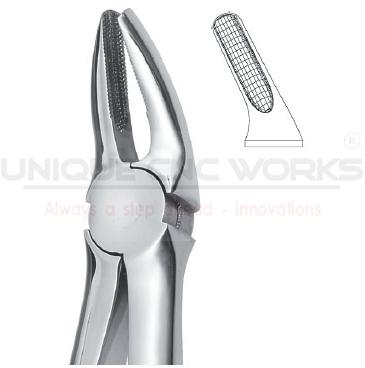Extracting Forceps, Brand Name : Stainless Steel