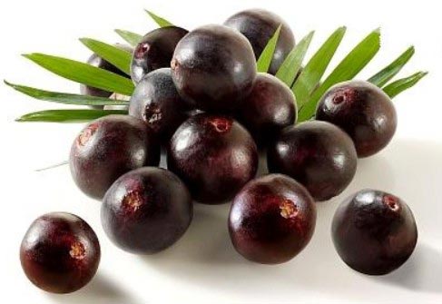 Acai Berry Extract Anthocyanin, Polyphenols