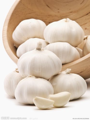 Garlic Extract, Allicin, Alliin, Brand Name : Natureplus