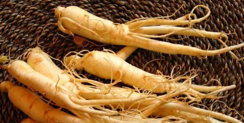 Ginsenoside Ginseng Extract, Brand Name : Natureplus