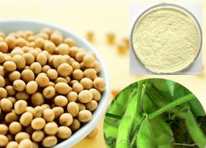 Soybean Extract, Isoflavones, Brand Name : Natureplus