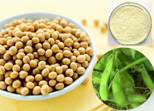 Soybean Germ Extract, Isoflavones, Brand Name : Natureplus