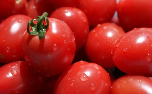 Tomato Extract (Lycopene), Brand Name : Natureplus