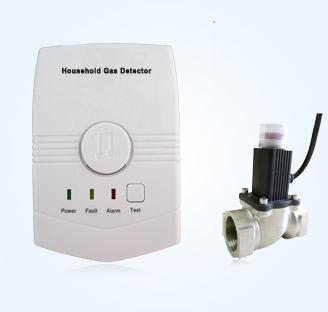 Natural Gas Leakage Alarm Detector, LED Display Valve, Solenoid Valve