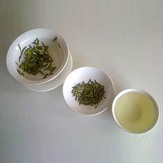 Green Tea Extract, Storage Condition : Dried