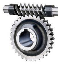 Worm Gear