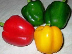 Capsicum