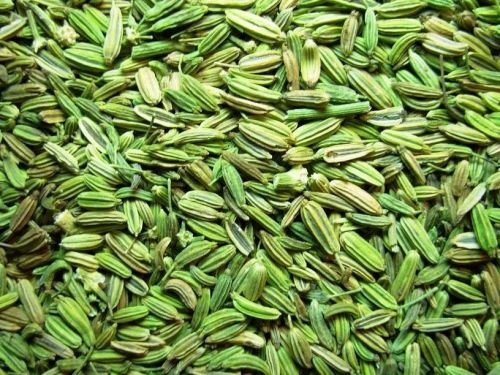 Fennel seeds, Storage : Cool & Dry Place