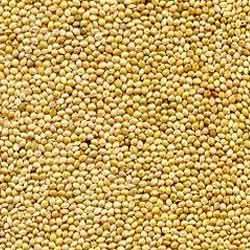 Sorghum Seeds, Storage Condition : Dried