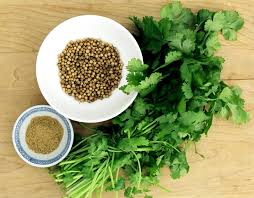 Coriander, Shelf Life : 12 Months
