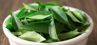 Curry Leaves