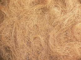 Coconut Fiber, Fiber Length : 10 Cm To 25 Cm