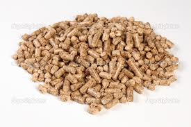 Wood pellet