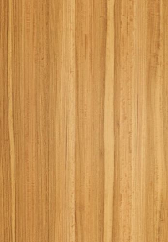 Prefinished Natural Wood Veneer ( Eucalyptus)