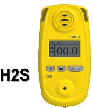 Portable Gas Detector For Paper Industry, H2s Gas Detector