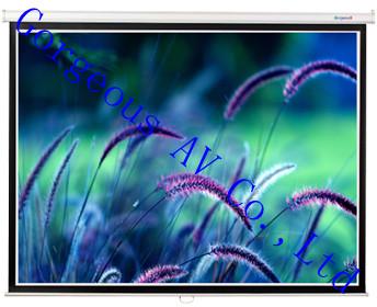 Manual Wall Screen, Projection Screen