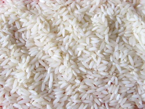 Sona Masoori Rice, Color : White