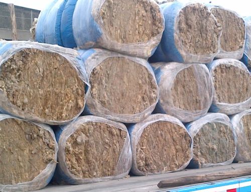 Carpet Wool, Greasy Wool