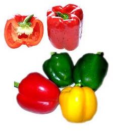 Fresh Capsicum