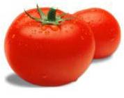 Fresh Tomato