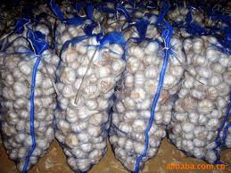 Fresh White Garlic