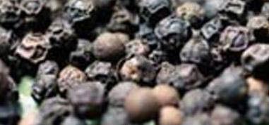 Black pepper, Cultivation Type : Natural