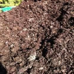 Organic Cow Manure