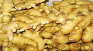 Fresh Ginger, Certification : APEDA, Phytosanitary